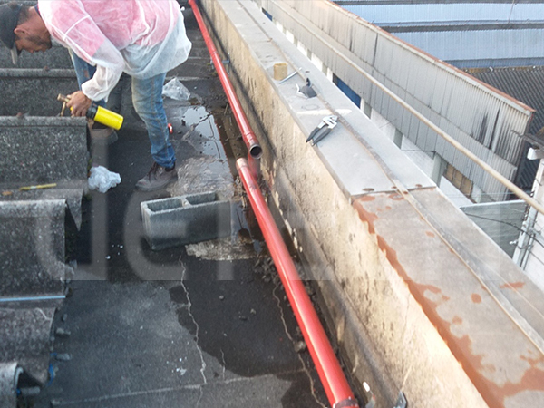 Prozyn Biosolutions - Imagem 1